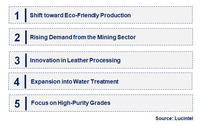 Emerging Trends in the Sodium Hydrosulphide Market